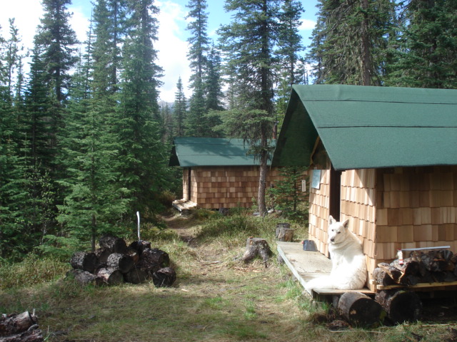 Cabins in Spring
